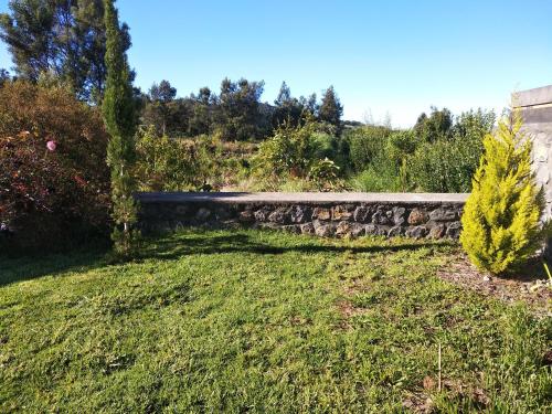 a stone retaining wall in a yard with a tree at Changement d'air près du volcan in Le Tampon