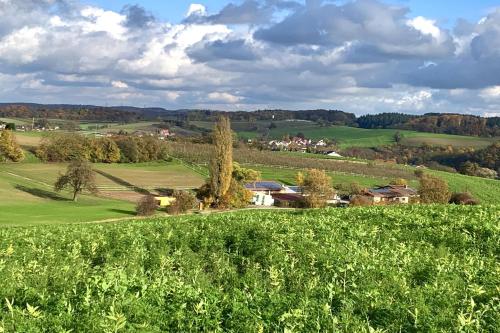 vistas a un campo verde con casas y árboles en Pension Am Hohberghof en Dielheim