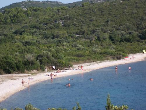 a group of people in the water at a beach at Guesthouse Budima in Banići