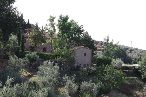una casa vieja en una colina con árboles y arbustos en Villa Vestra in Vinci holiday home en Vinci