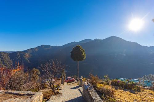 a tree on a hill with a view of a lake at Seclude Ramgarh Willows in Rāmgarh