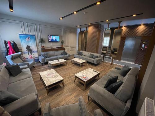 Ruang duduk di Sarıkamış Aras Otel