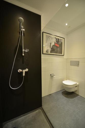 a bathroom with a shower and a toilet at Haus Tirolerland in Oetz