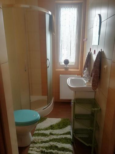 a bathroom with a toilet a sink and a shower at Agroturystyka Pod Bocianim Gniazdem in Morgowniki
