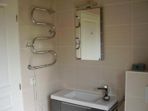 ein Bad mit einem Waschbecken und einem Spiegel in der Unterkunft Villa Haute Savoie in Chessenaz