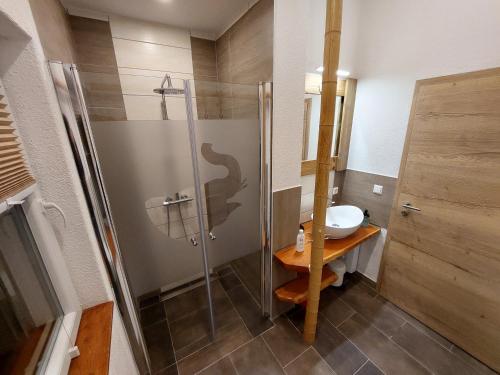 a bathroom with a shower and a sink at elephants Ferienhaus Haus West in Jahnsdorf