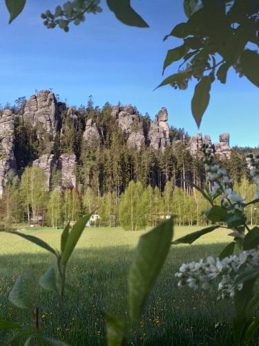 a view of a mountain from a field of grass at Apartmány Adršpach " U Kozárů " in Adršpach