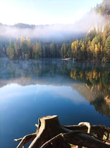 a view of a lake in the middle of a forest at Apartmány Adršpach " U Kozárů " in Adršpach
