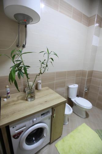 een badkamer met een wasmachine en een toilet bij D & G Apartment in Tirana
