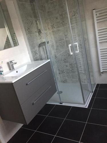 une salle de bain avec douche et lavabo dans l'établissement appartement calme en campagne, à Arzal