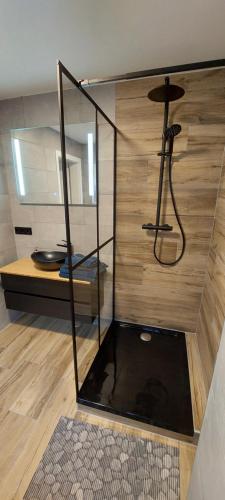a shower in a room with a wooden wall at Gailtaler Apartments Alinkhof in Bach