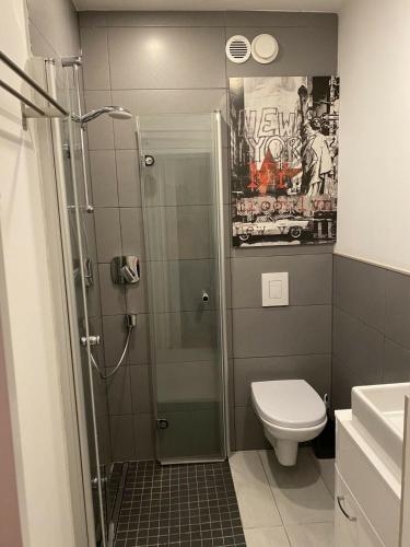 a bathroom with a shower and a toilet at Maisonette Taunusblick 317 in Lahnstein