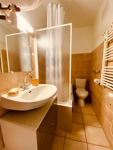 une salle de bain avec un lavabo et des toilettes dans l'établissement Joli deux pièces, centre ville et proche plage, à Propriano