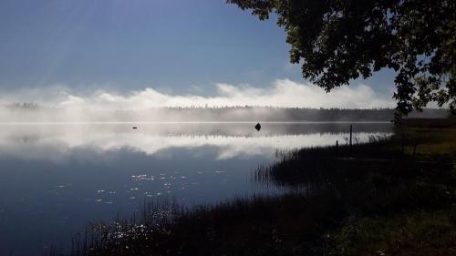 a misty lake with a reflection of the sky at Björkdahla in Dörarp