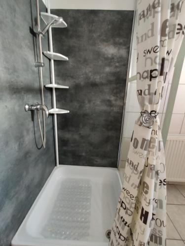 a bathroom with a shower with a shower curtain at Katalin Apartmanház in Miskolctapolca