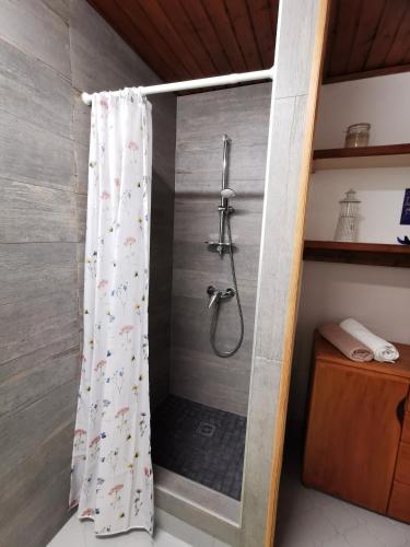 une douche avec un rideau de douche dans une salle de bain dans l'établissement Au repos des remparts, à Wissembourg