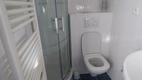 a small bathroom with a toilet and a glass shower at Sol-y-Days Grau Village, Superbe maison de vacances avec 3 chambres et un bel espace exterieur aménagé in Le Grau-du-Roi