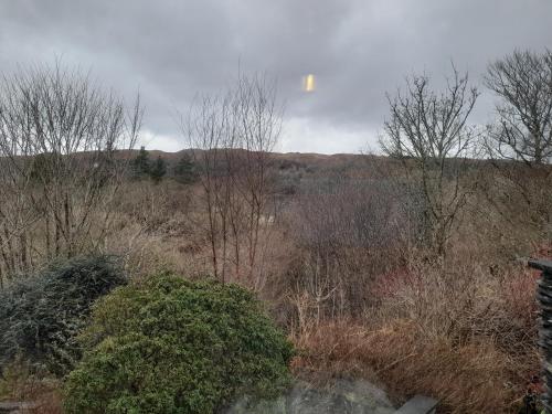 a view of a field with trees and a hill at Elderslie Guest House in Oban