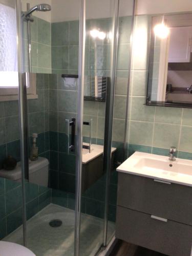 een badkamer met een douche, een wastafel en een toilet bij Appartement Bord de Mer La Faviere in Bormes-les-Mimosas