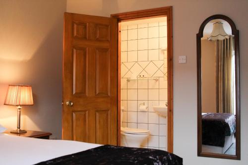 a bathroom with a bed and a toilet and a mirror at Bridge Hotel in Arklow