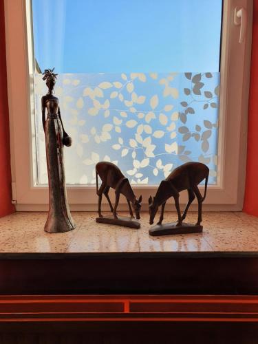 Mascotas con sus dueños en Sur la Rive Vierre