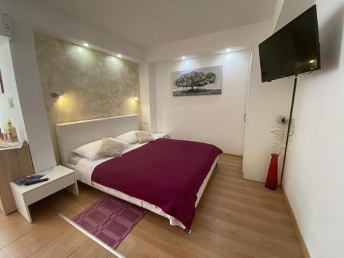 Un dormitorio con una cama y un televisor de pantalla plana. en The Garden Rooms & Suites, en Split