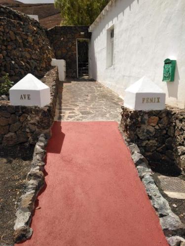 Foto Centro Ave Fénix 1