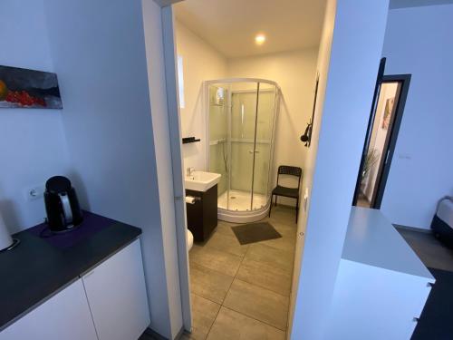 een badkamer met een douche, een toilet en een wastafel bij Ace Guesthouse in Keflavík