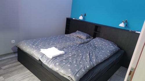 Ce lit se trouve dans un dortoir doté d'un mur bleu. dans l'établissement Villa Vivien Palić, à Palić