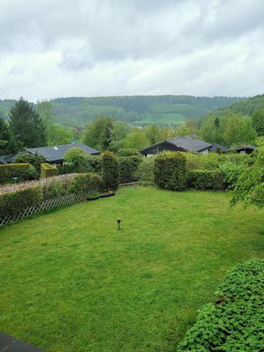 a green yard with a bird in the grass at Haus am Hennesee in Meschede