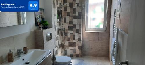 a bathroom with a sink and a toilet and a shower at Baman Apartment in Cluj-Napoca