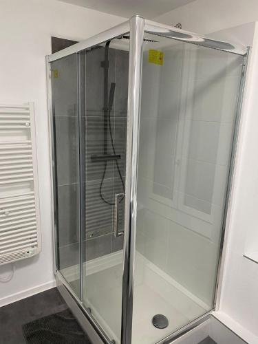 une douche avec une porte vitrée dans une salle de bain dans l'établissement Appartement ORANGE, à Reims