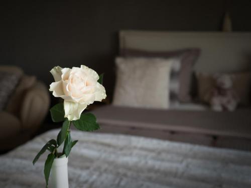 a white rose in a white vase on a bed at Tussen Hemel en Maas in Dilsen-Stokkem