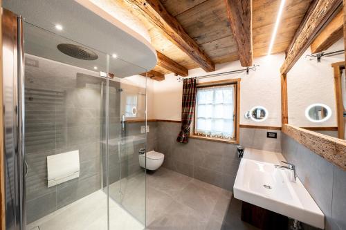 La salle de bains est pourvue d'une douche, d'un lavabo et de toilettes. dans l'établissement Chalet Catinaccio Rosengarten 56, à Pozza di Fassa
