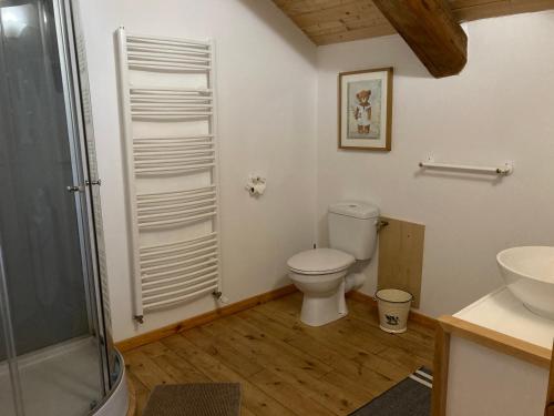 a bathroom with a toilet and a sink and a shower at La Bonbonnière in Le Chambon-sur-Lignon