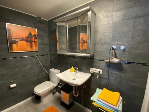 a bathroom with a white toilet and a sink at Gemütliche 2 Zi Wohnung in Loßburg, Schwarzwald in Loßburg