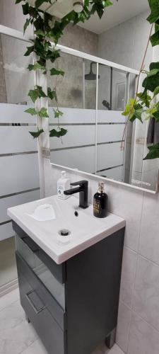 łazienka z umywalką i lustrem w obiekcie old town Marbella w Marbelli