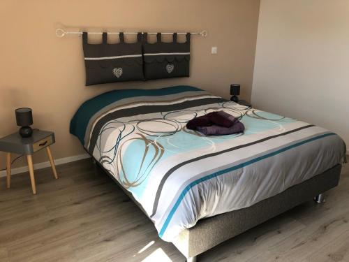 - une chambre avec un grand lit et une couverture dans l'établissement Appartement Magnîolia proche centre Ville, à Colmar