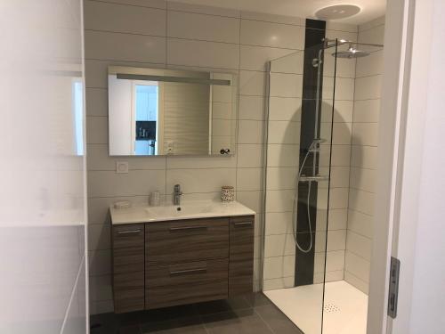 a bathroom with a sink and a shower with a mirror at Appartement Magnîolia proche centre Ville in Colmar