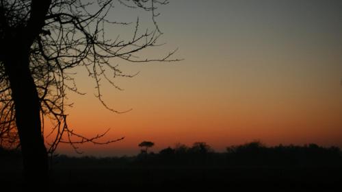 Photo de la galerie de l'établissement Gîte Le Coucher de soleil, à Plessé