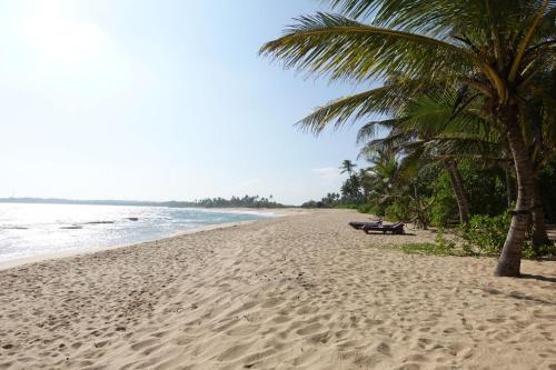 a sandy beach with palm trees and the ocean at Mallis Guesthouse in Habaraduwa