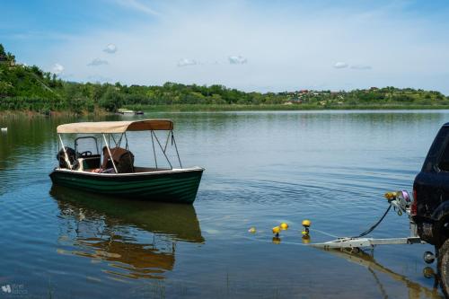 a boat with two dogs in it on a lake at Delta MAYANKA in Mineri
