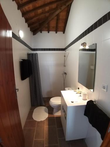 a bathroom with a toilet and a sink and a mirror at Casa Malbusca in Almagrinha