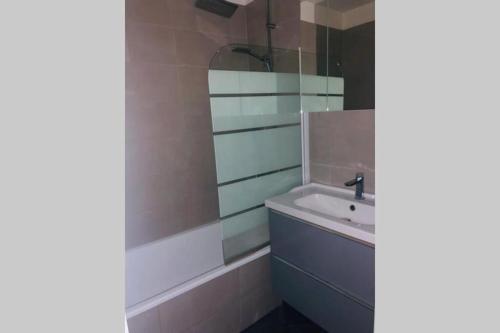 Koupelna v ubytování Superbe Appart 2 lits Style Contemporain