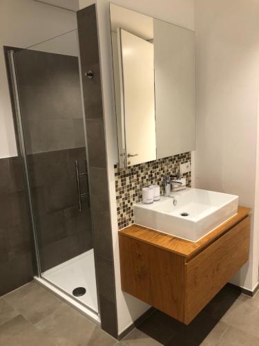 La salle de bains est pourvue d'un lavabo et d'une douche. dans l'établissement Schickes Ferienappartement, à Lochau