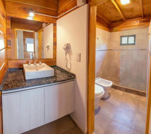 uma casa de banho com um lavatório e um WC em Monviso - Casas de montaña em Santa Rosa de Calamuchita