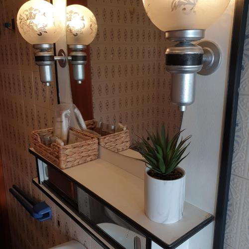 a bathroom with two lights and a plant on a shelf at Laverdura in Ubrique
