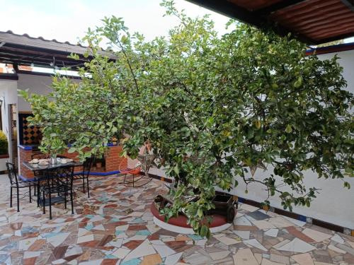 a bonsai tree in a patio with a table and chairs at HOTEL CASA LIMON in Santa Rosa de Jáuregui