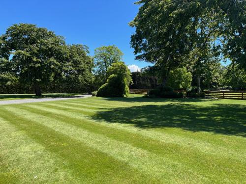 a large field of grass with trees and a fence at The Studio at Northfield in Methven