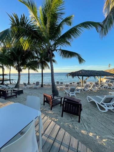 a beach with chairs and palm trees and the ocean at Studio 25 m Manganao Joela 4 personnes avec machine a laver in Saint-François